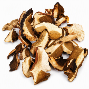 Butter Mushroom (Boletus Luteus)