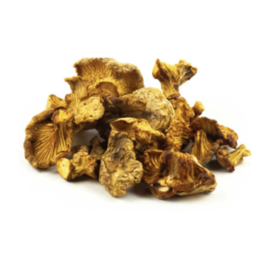 Chanterelle - Cantharellus Cibarius (Organic and Conventional)