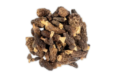 Morel - Morchella (Organic and Conventional)