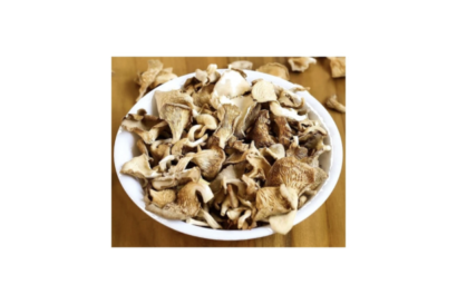 Oyster Mushrooms - Pleurotus Ostreatus (Organic and Conventional)