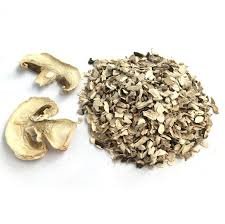 Champignon (Agaricus Bisporus) - Image 2