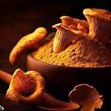 Chanterelle (Cantharellus Cibarius) - Image 4