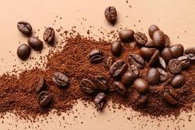 Brown Beans - Image 4