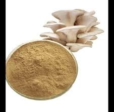 Oyster Mushrooms - Pleurotus Ostreatus (Organic and Conventional) - Image 7