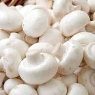Champignon (Agaricus Bisporus) - Image 7