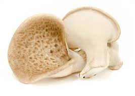 Pore Mushroom - Boletus Edulis (Organic and Conventional) - Image 7