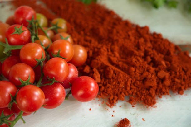 Spray-Dried Tomato Powder - Image 5