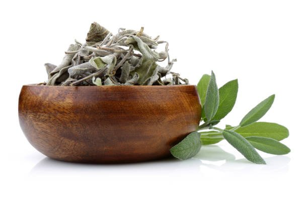 Sage - Image 7