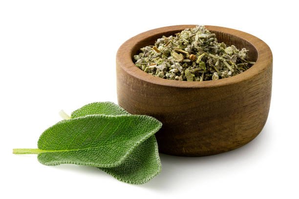 Sage - Image 8