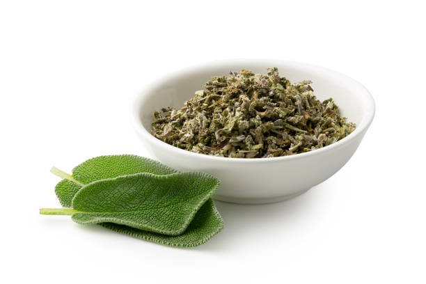 Sage - Image 11