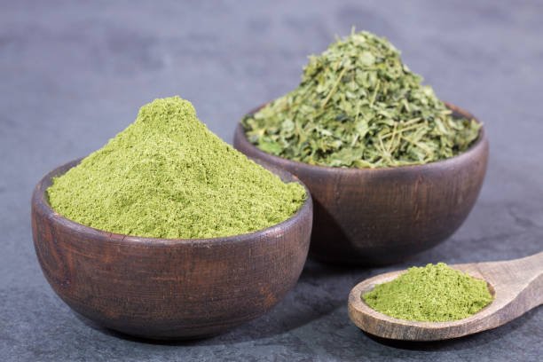 Oregano - Image 5