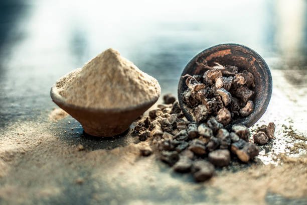 Morel (Morchella) - Image 10