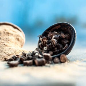 Black Fungus (Auricolaria Mesenterica)