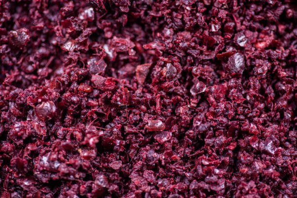 Blackcurrant - Image 5