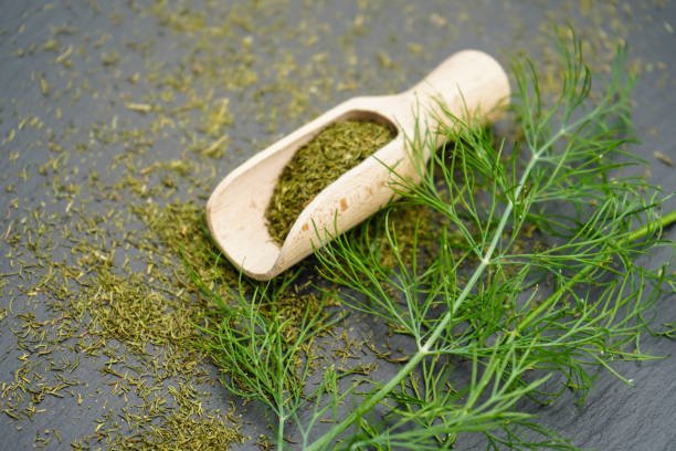 Dill Tips - Image 5