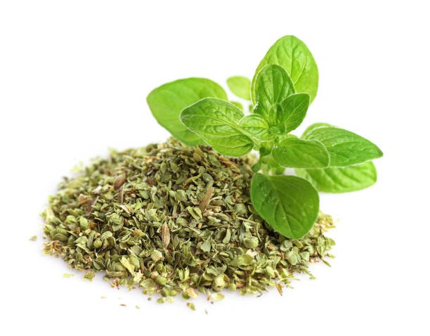 Oregano - Image 9