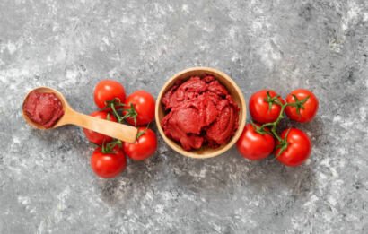 Tomato Paste 28/30 Brix