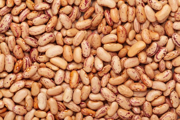 Brown Beans - Image 8