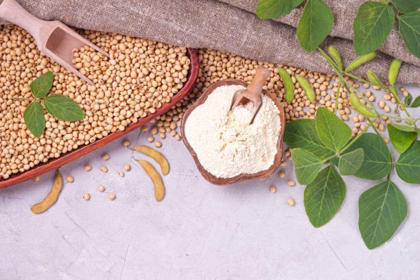 White Beans - Image 7