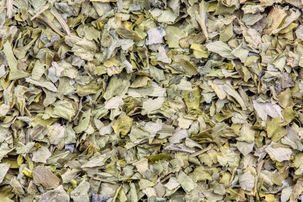 Asparagus Flakes & Powder (Organic and Conventional) - Image 4