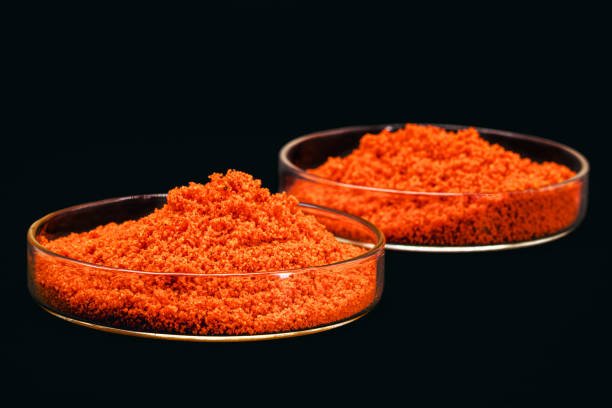 Carrot Granules, Rings, Cubes & Powder (Organic and Conventional) - Image 3