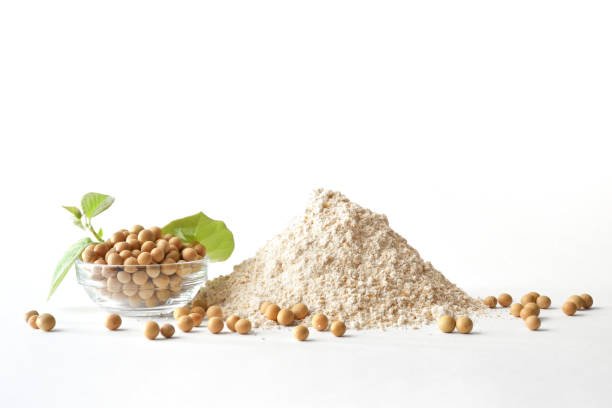White Beans - Image 2