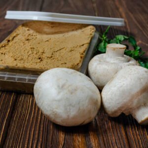 Butter Mushroom (Boletus Luteus)