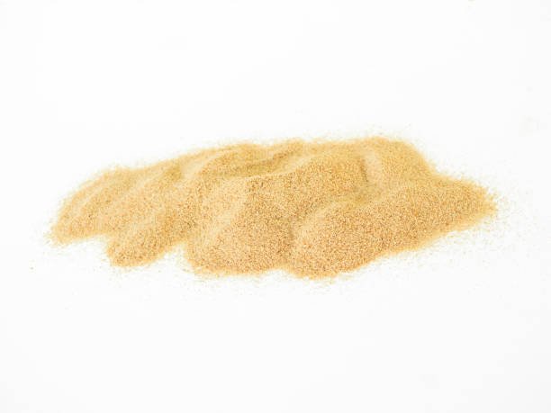 Apricot - Image 4