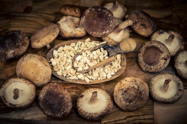 Shiitake (Lentinus Edodes) - Image 5
