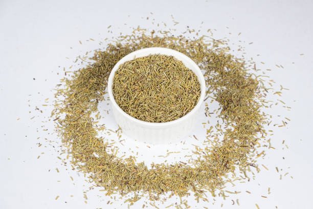 Rosemary - Image 3