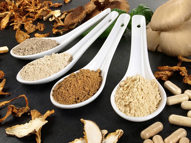 Pore Mushroom - Boletus Edulis (Organic and Conventional) - Image 3