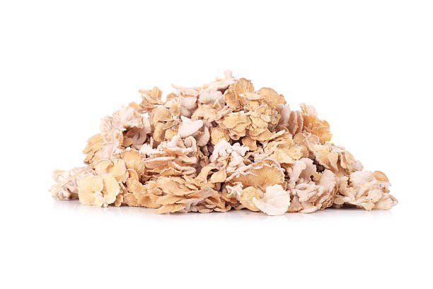 Oyster Mushrooms - Pleurotus Ostreatus (Organic and Conventional) - Image 3