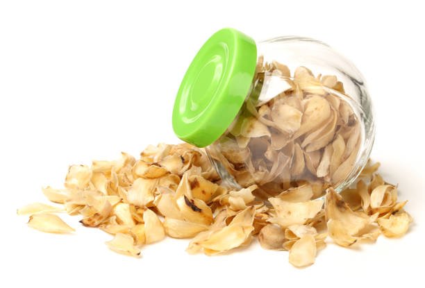 Garlic - Image 5