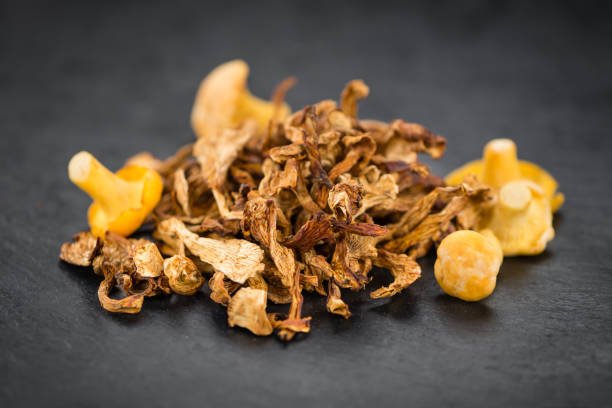 Chanterelle (Cantharellus Cibarius) - Image 2