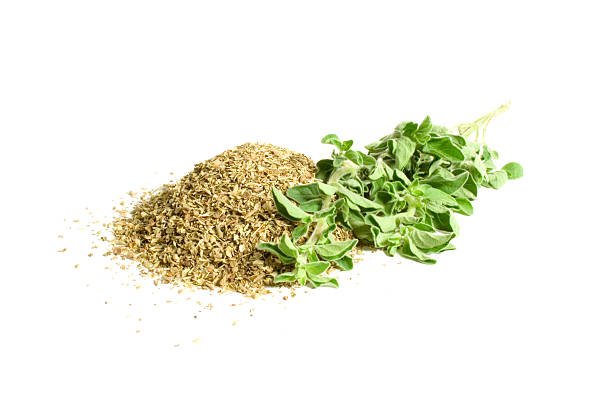 Oregano - Image 3