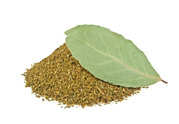 Sage - Image 9