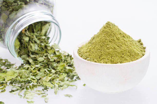 Oregano - Image 7