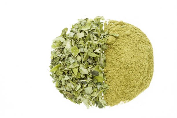 Oregano - Image 8