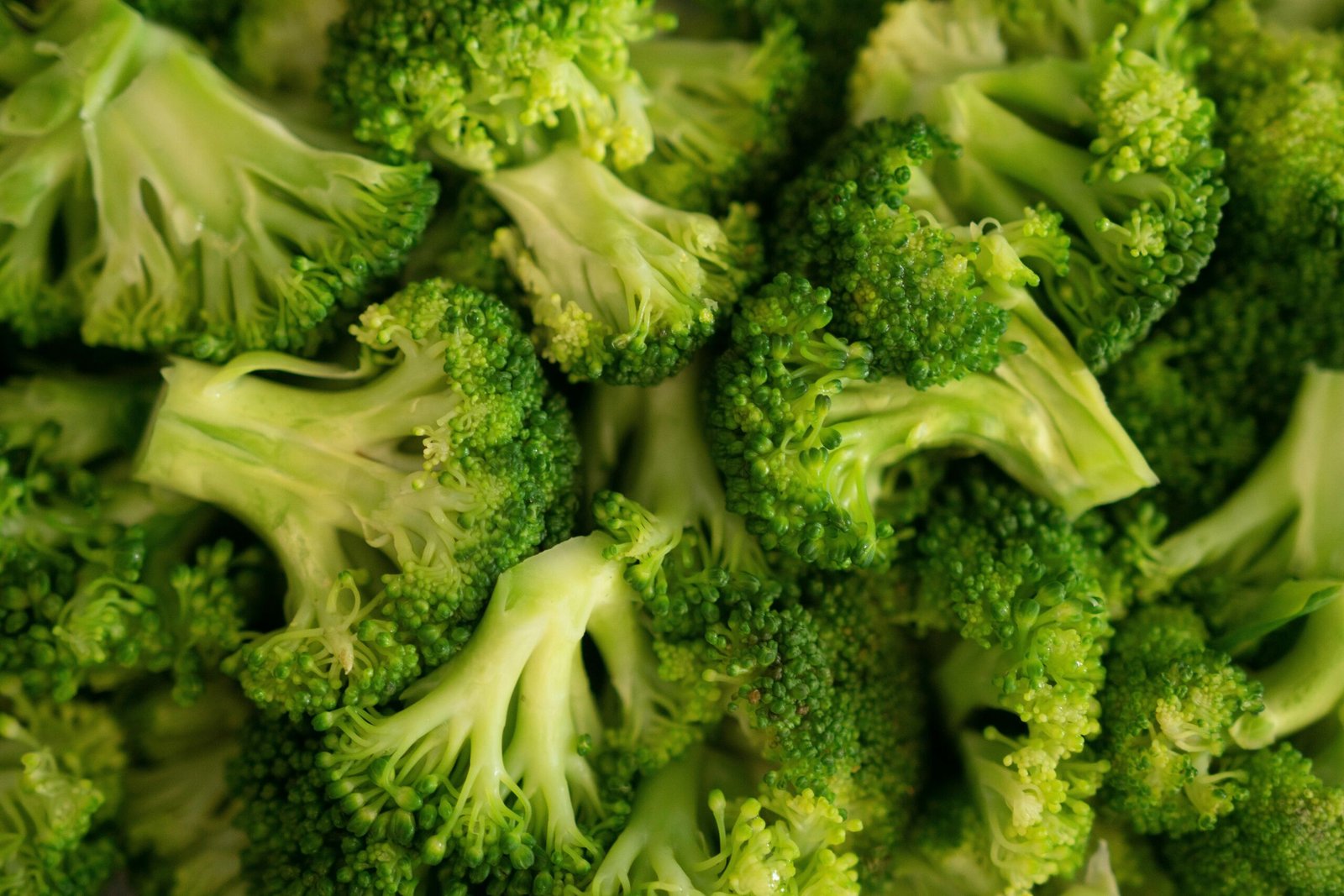 Broccoli Flowers & Powder (Organic and Conventional) - Image 3