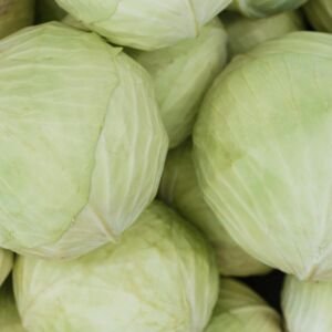 White Cabbage Flakes, Granules & Powder