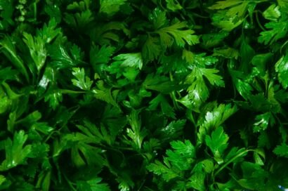 Parsley Leaves