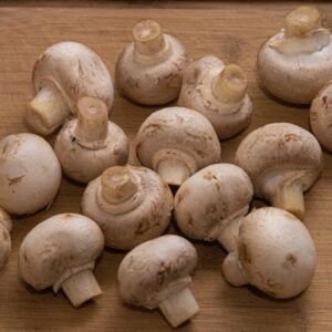 Dry Mushrooms