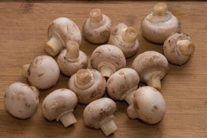 Dry Mushrooms