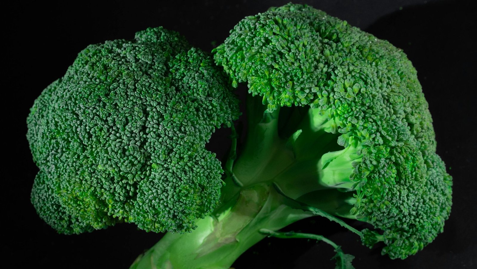 Broccoli Flowers & Powder (Organic and Conventional) - Image 4